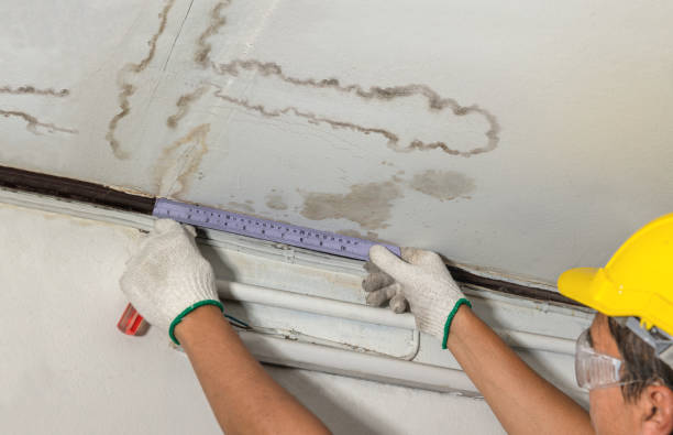 Reliable Water Damage contractor in Weston, MI by Water Damage Irwin